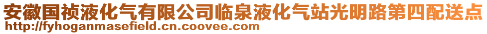 安徽國禎液化氣有限公司臨泉液化氣站光明路第四配送點