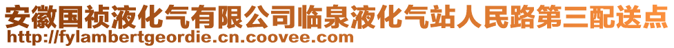 安徽國禎液化氣有限公司臨泉液化氣站人民路第三配送點