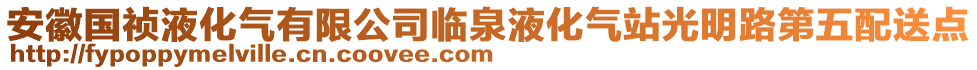 安徽國禎液化氣有限公司臨泉液化氣站光明路第五配送點