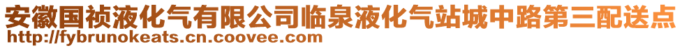 安徽國禎液化氣有限公司臨泉液化氣站城中路第三配送點