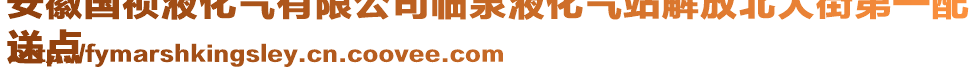 安徽國禎液化氣有限公司臨泉液化氣站解放北大街第一配
送點