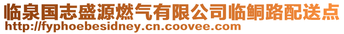 臨泉國志盛源燃?xì)庥邢薰九R鲖路配送點