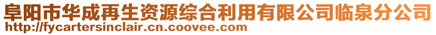 阜陽市華成再生資源綜合利用有限公司臨泉分公司
