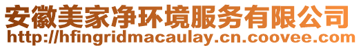 安徽美家凈環(huán)境服務(wù)有限公司