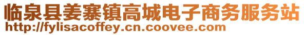 臨泉縣姜寨鎮高城電子商務服務站