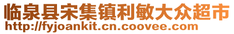 臨泉縣宋集鎮利敏大眾超市