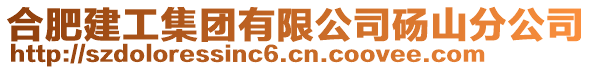 合肥建工集團(tuán)有限公司碭山分公司