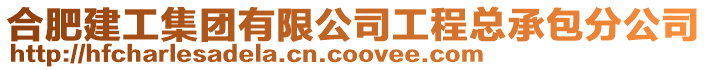 合肥建工集團有限公司工程總承包分公司