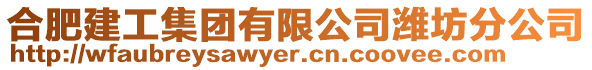 合肥建工集團有限公司濰坊分公司