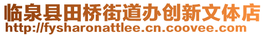 臨泉縣田橋街道辦創新文體店
