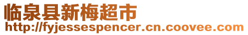 臨泉縣新梅超市