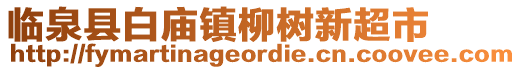 臨泉縣白廟鎮(zhèn)柳樹新超市