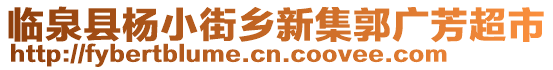 臨泉縣楊小街鄉新集郭廣芳超市
