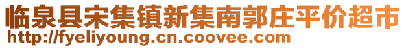 臨泉縣宋集鎮新集南郭莊平價超市