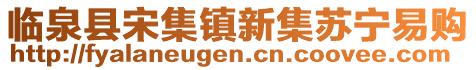 臨泉縣宋集鎮新集蘇寧易購