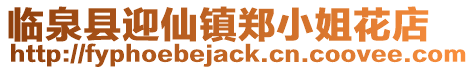 臨泉縣迎仙鎮鄭小姐花店
