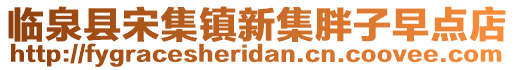 臨泉縣宋集鎮新集胖子早點店