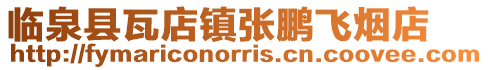 臨泉縣瓦店鎮張鵬飛煙店
