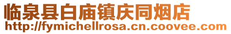 臨泉縣白廟鎮慶同煙店