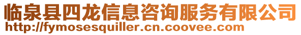 臨泉縣四龍信息咨詢服務有限公司