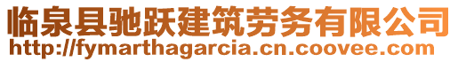 臨泉縣馳躍建筑勞務有限公司