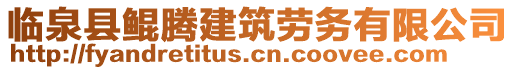 臨泉縣鯤騰建筑勞務有限公司