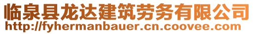 臨泉縣龍達建筑勞務有限公司