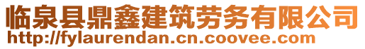 臨泉縣鼎鑫建筑勞務有限公司