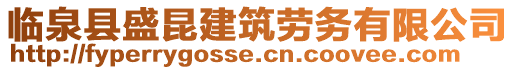 臨泉縣盛昆建筑勞務有限公司