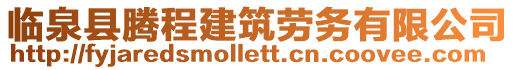 臨泉縣騰程建筑勞務有限公司