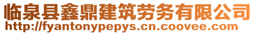 臨泉縣鑫鼎建筑勞務有限公司