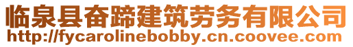 臨泉縣奮蹄建筑勞務有限公司