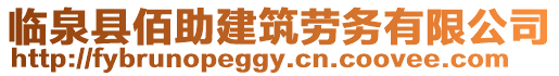 臨泉縣佰助建筑勞務有限公司