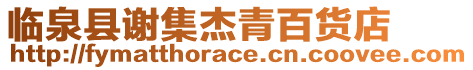 臨泉縣謝集杰青百貨店
