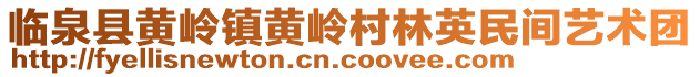 臨泉縣黃嶺鎮(zhèn)黃嶺村林英民間藝術(shù)團