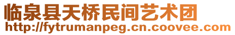 臨泉縣天橋民間藝術(shù)團(tuán)