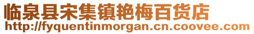 臨泉縣宋集鎮(zhèn)艷梅百貨店