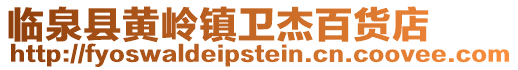 臨泉縣黃嶺鎮(zhèn)衛(wèi)杰百貨店
