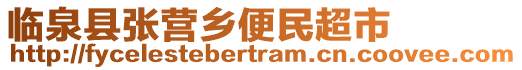 臨泉縣張營鄉(xiāng)便民超市