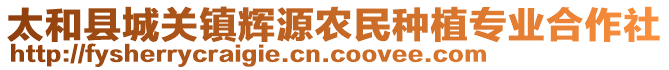 太和縣城關(guān)鎮(zhèn)輝源農(nóng)民種植專(zhuān)業(yè)合作社