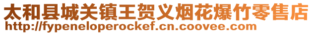 太和縣城關(guān)鎮(zhèn)王賀義煙花爆竹零售店