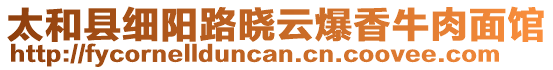 太和縣細(xì)陽路曉云爆香牛肉面館