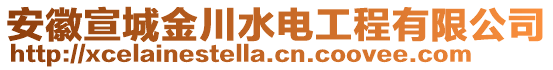 安徽宣城金川水電工程有限公司