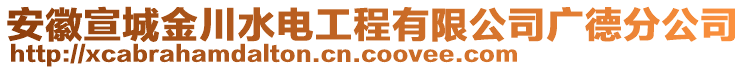 安徽宣城金川水電工程有限公司廣德分公司