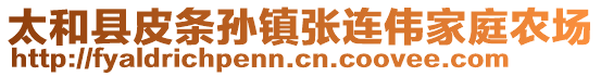 太和縣皮條孫鎮(zhèn)張連偉家庭農(nóng)場(chǎng)