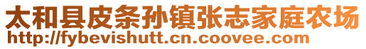 太和縣皮條孫鎮(zhèn)張志家庭農(nóng)場(chǎng)