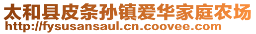 太和縣皮條孫鎮(zhèn)愛華家庭農(nóng)場