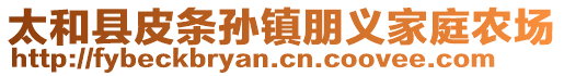 太和縣皮條孫鎮(zhèn)朋義家庭農(nóng)場(chǎng)