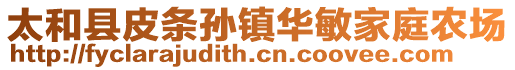 太和縣皮條孫鎮(zhèn)華敏家庭農(nóng)場(chǎng)