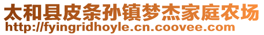 太和縣皮條孫鎮(zhèn)夢(mèng)杰家庭農(nóng)場(chǎng)